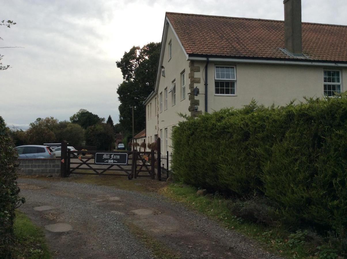 Mill Farm B&B Great Ayton Esterno foto